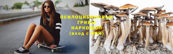 дмт Надым