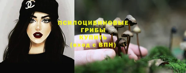 apvp Навашино