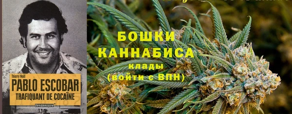 дмт Надым