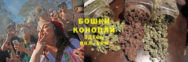дмт Надым
