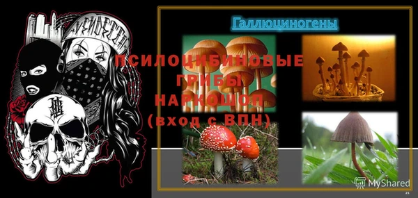 дмт Надым