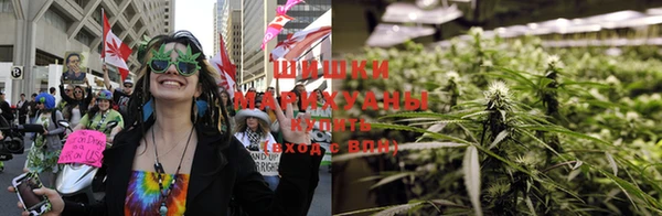 дмт Надым