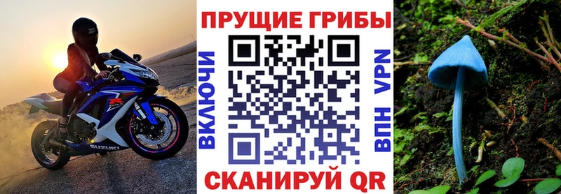 Галлюциногенные грибы Cubensis  магазин    Смоленск 
